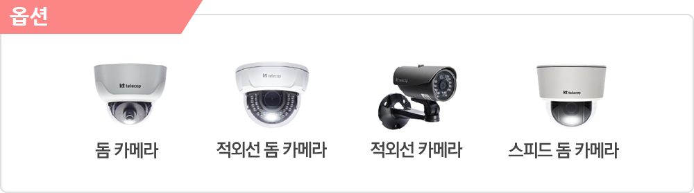 카메라:돔카메라,적외선 돔 카메라,적외선 카메라,스피드 돔 카메라 