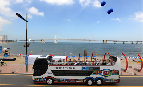 Hop on and off, take off on Busan City Tour