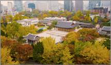 seoul2